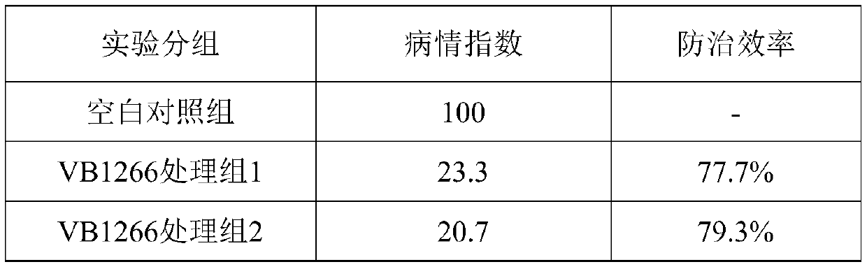 Bacillus amyloliquefaciens and application thereof in agricultural production