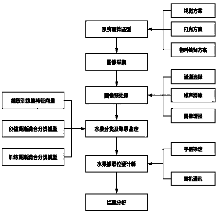 Fruit sorting system based on machine vision