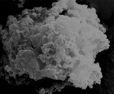 Method for preparing thermodynamically metastable lyophobic sol from Janus ginseng starch particles