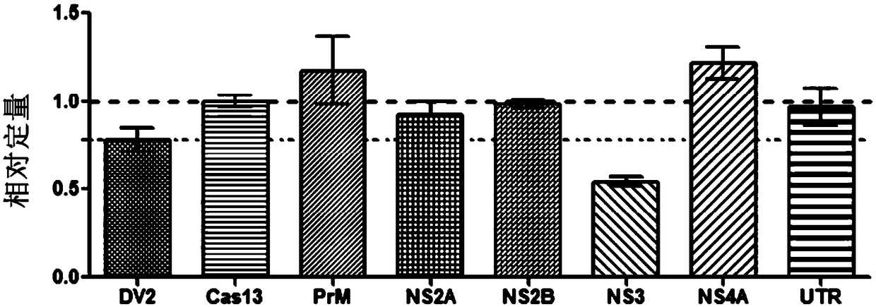 Effective Cas13a-based anti-dengue virus nucleic acid target and application thereof