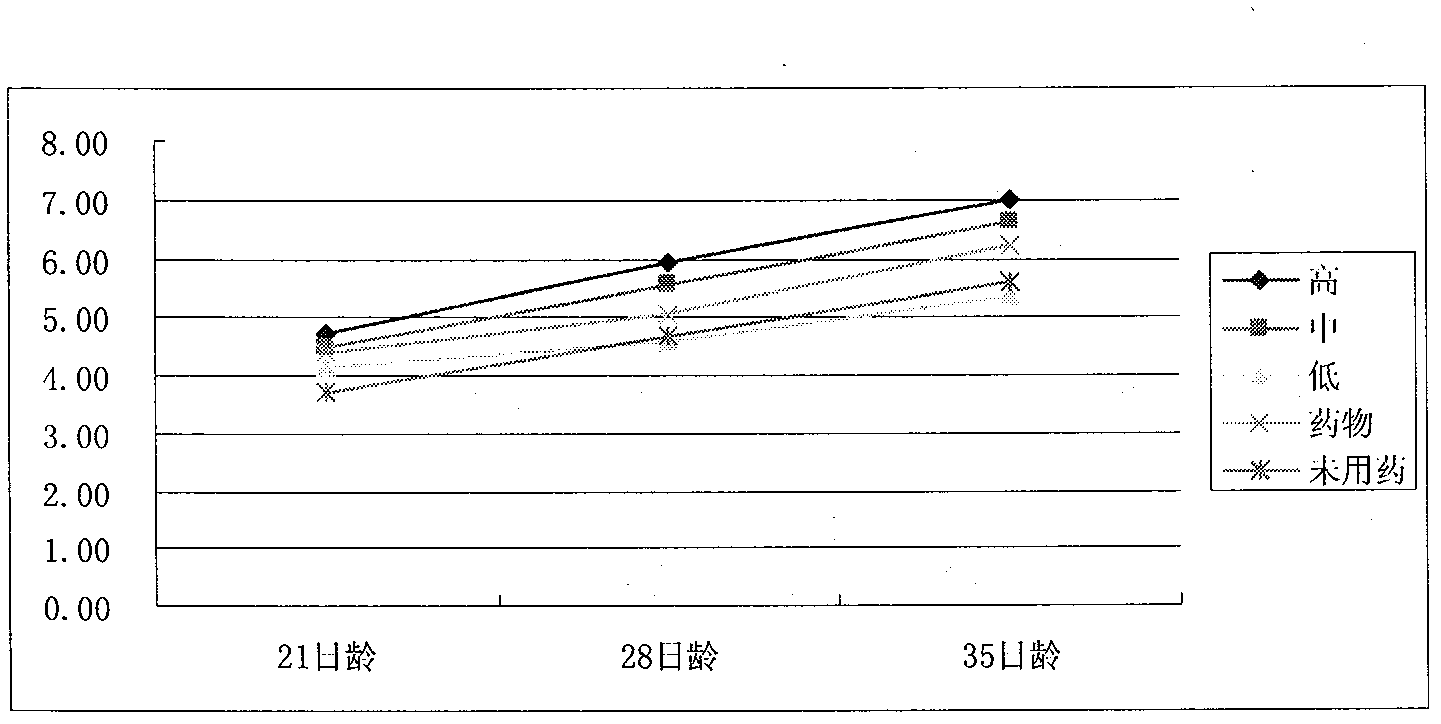 Application of pidotimod as immune enhancer on livestock and poultry