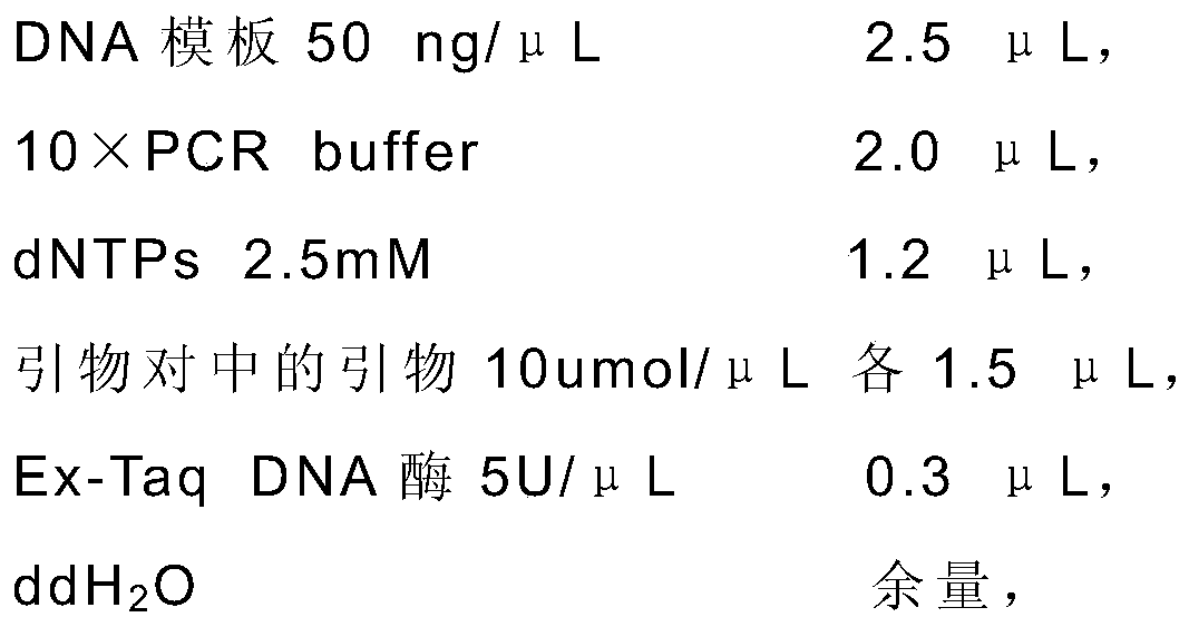 Molecular markers, primers and methods for estimating the length of the right end of tobacco n-introduced fragments