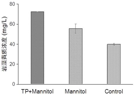 A concurrent culture method for producing polyunsaturated fatty acids and fucoxanthin by using Phaeodactylum tricornutum