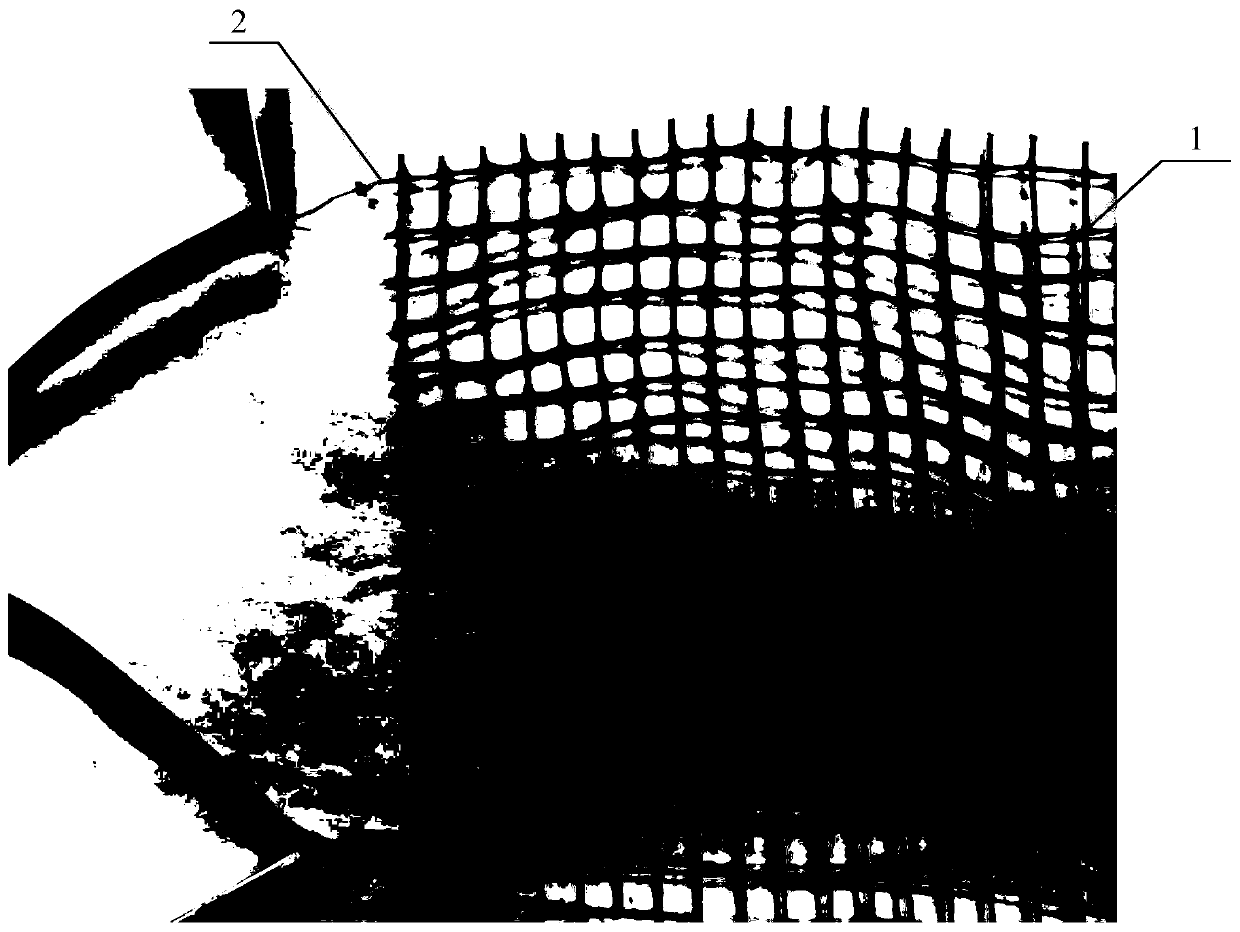 Flexible graphene electric heating net and preparation method thereof