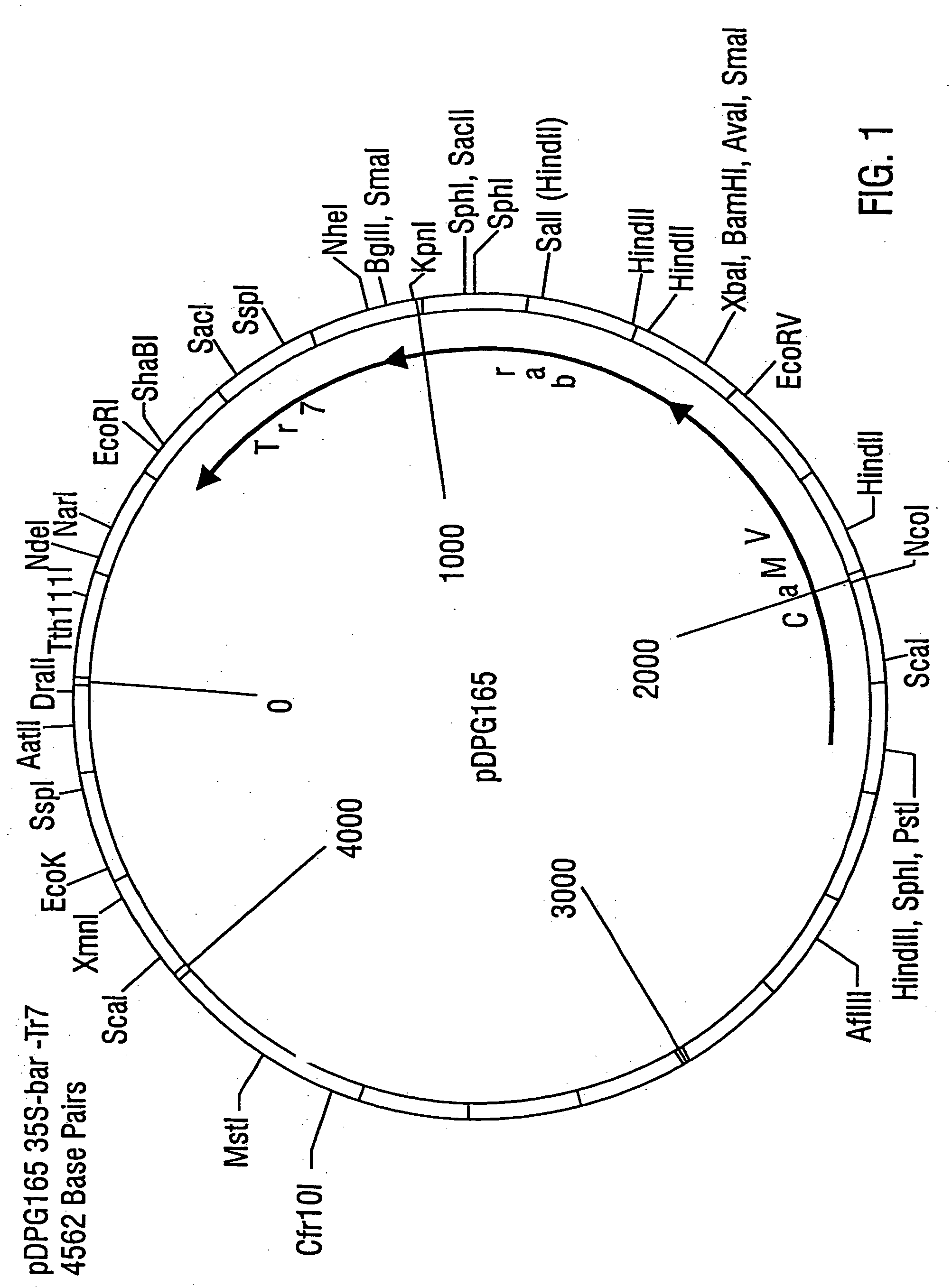 Method for plant breeding