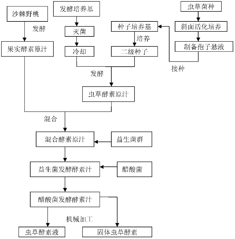 A kind of Cordyceps sinensis enzyme and preparation method thereof