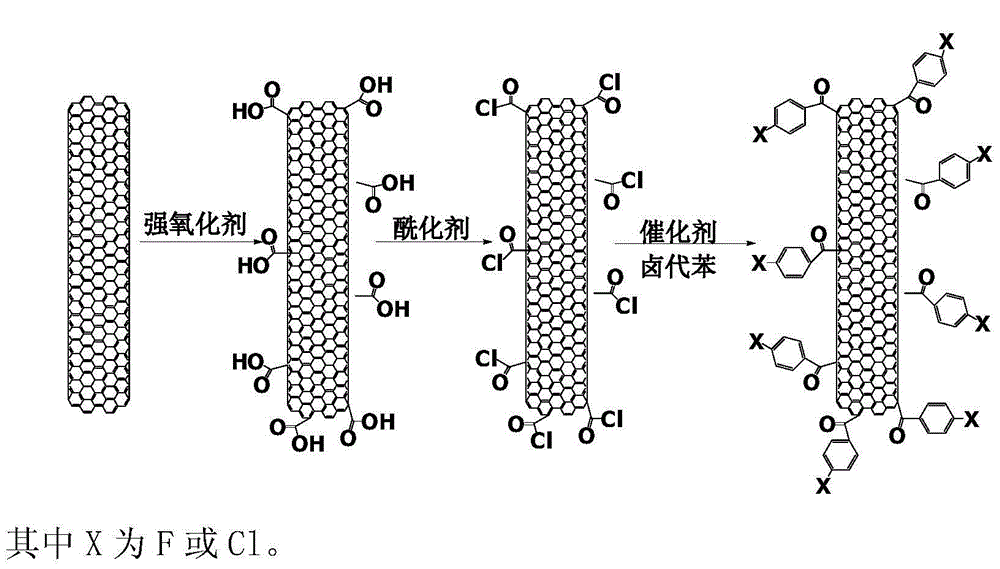 Halobenzene functionalized and modified carbon nano tube and preparation method thereof