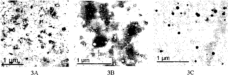 Nano chitosan derivative and preparation method and application thereof