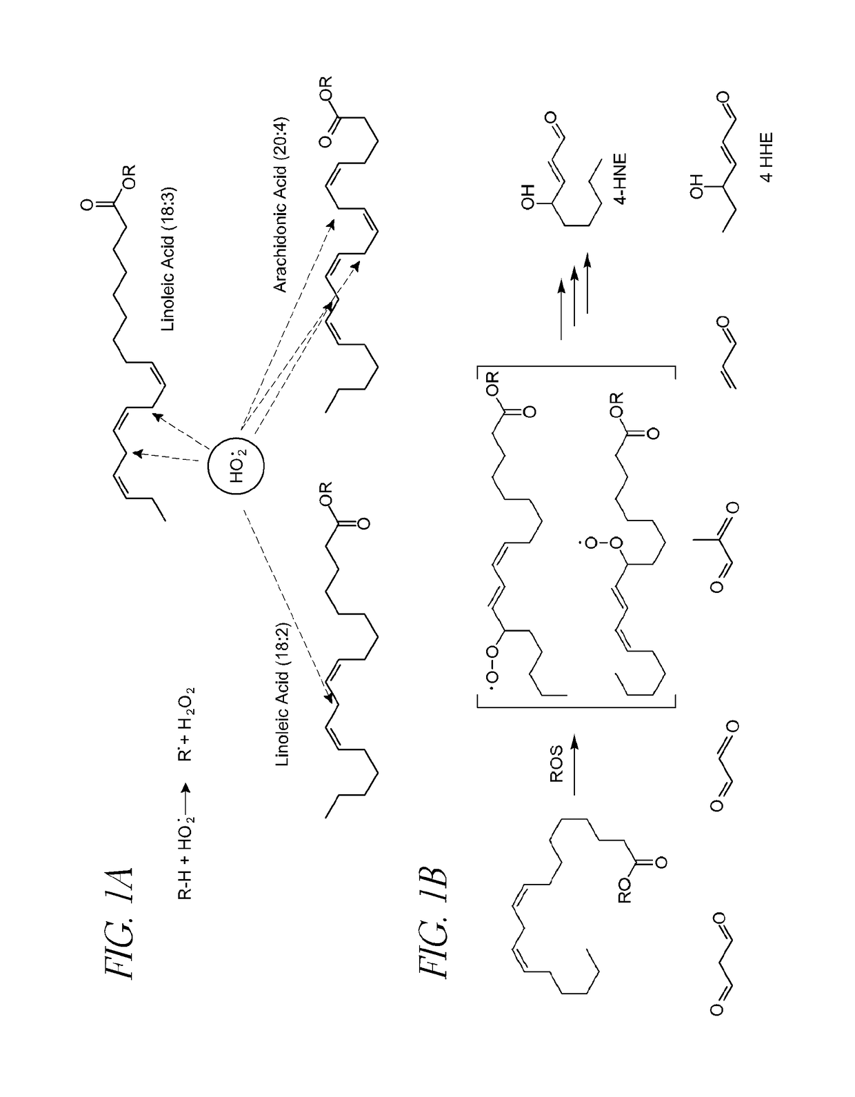 Neurodegenerative disorders and muscle diseases implicating PUFAs