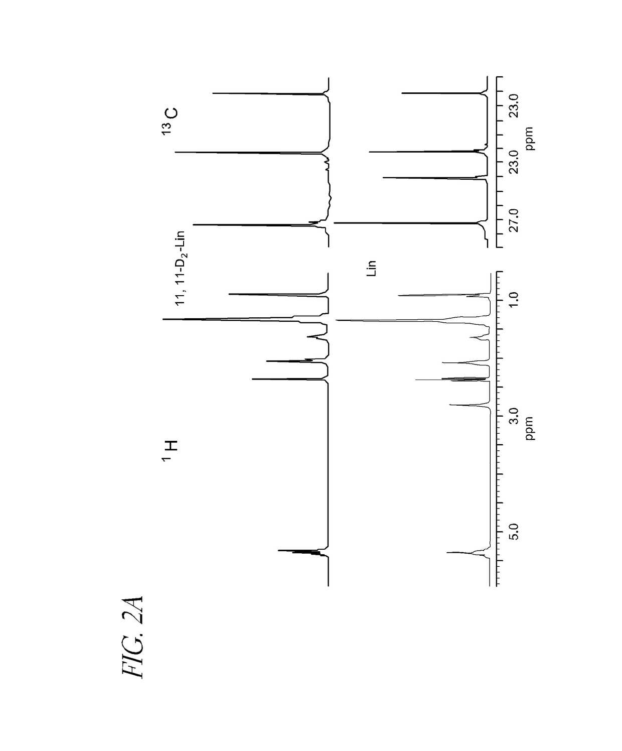 Neurodegenerative disorders and muscle diseases implicating PUFAs