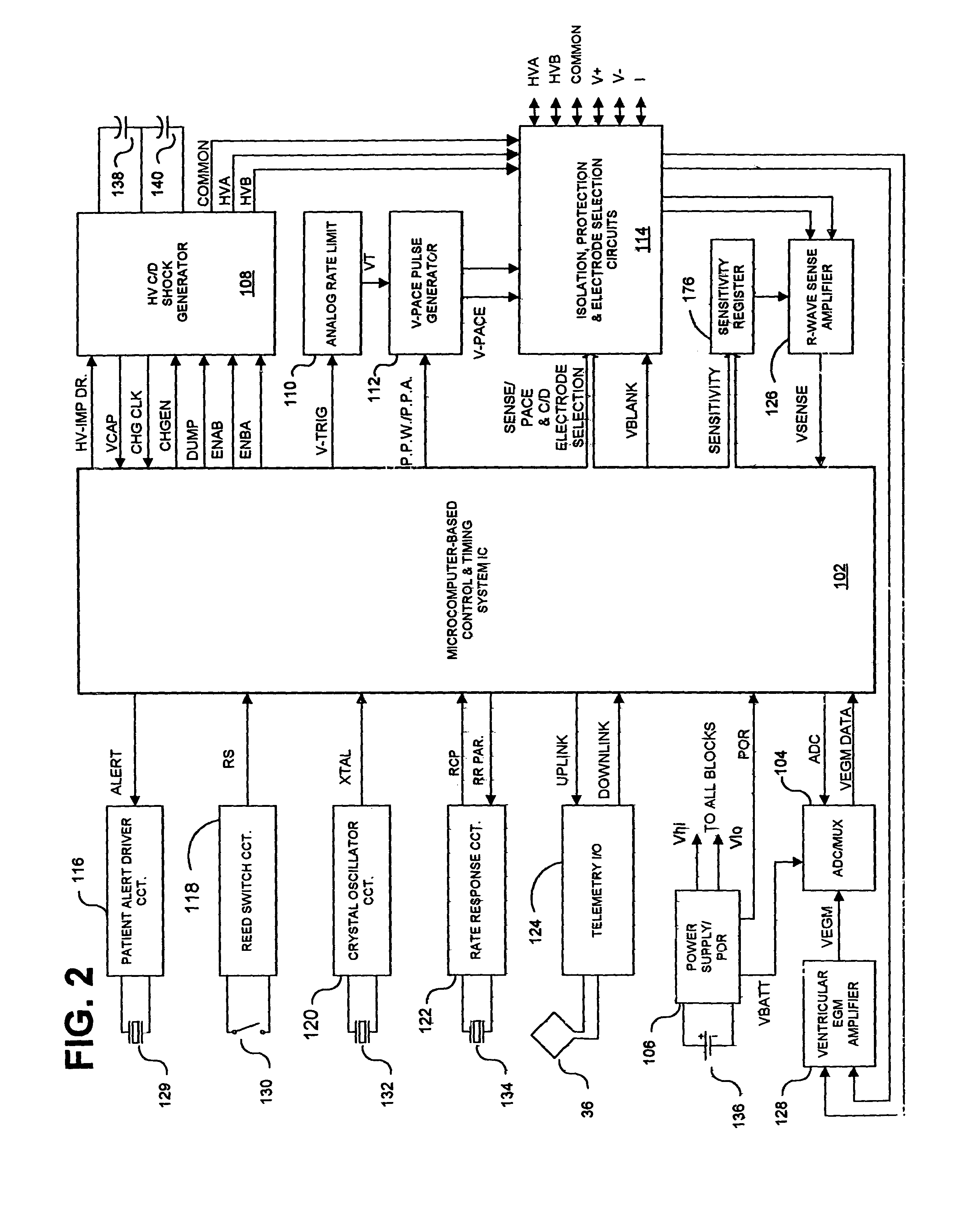 Methods and apparatus for discriminating polymorphic tachyarrhythmias from monomorphic tachyarrhythmias facilitating detection of fibrillation