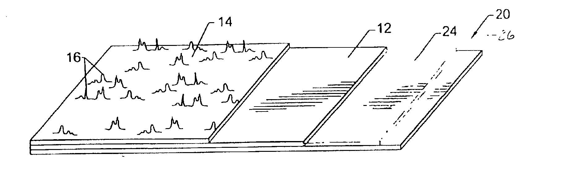 Structured polyolefin coated substrates and processes for making the same