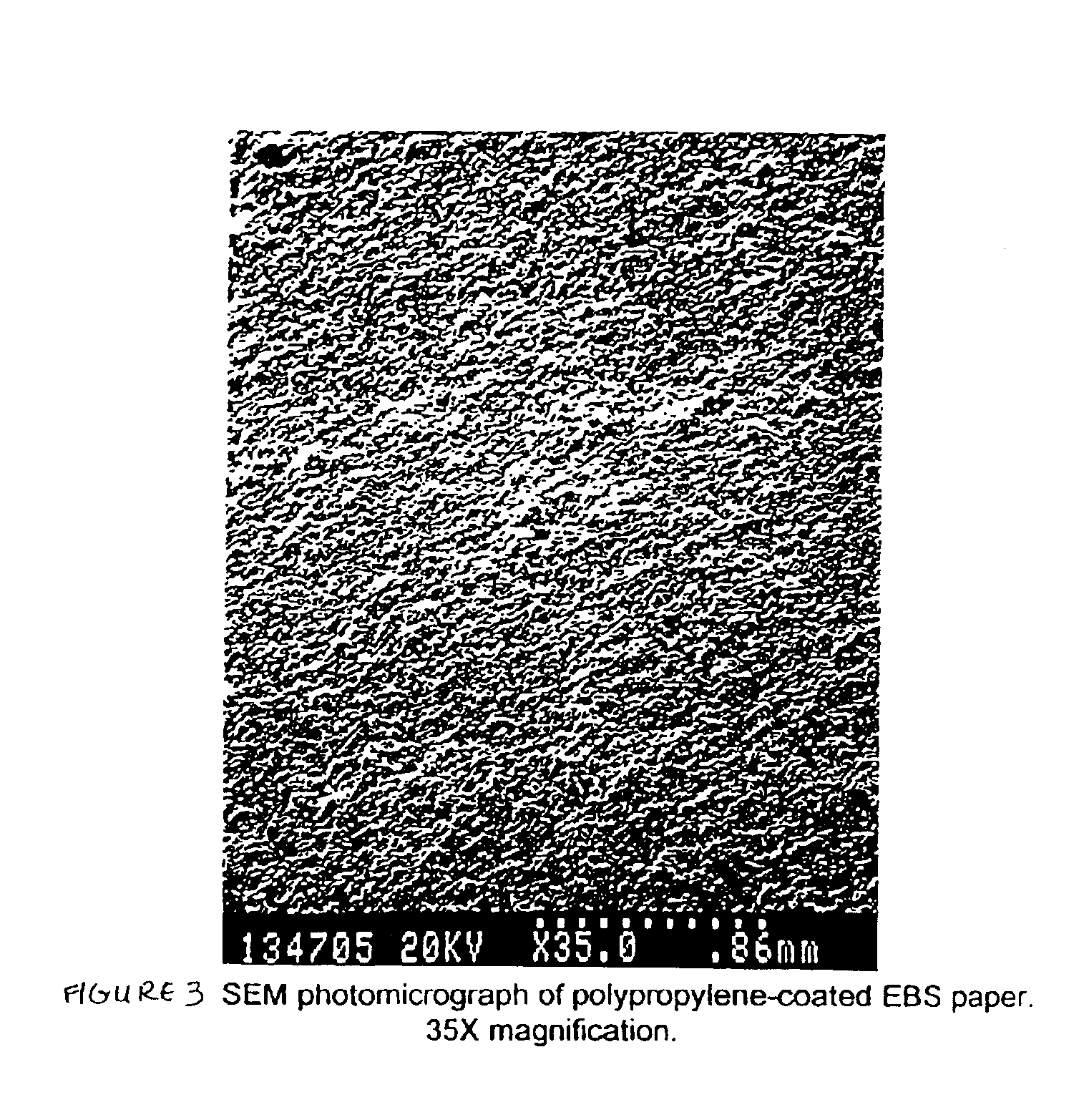 Structured polyolefin coated substrates and processes for making the same