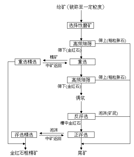 Rutile roughing technology consisting of selective ore grinding, coarse particle gravity separation and fine particle floatation