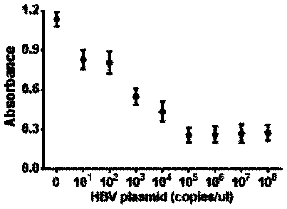 Detection method and application of HBV based on CRISPR-Cas12a and G-quadruplex hemin