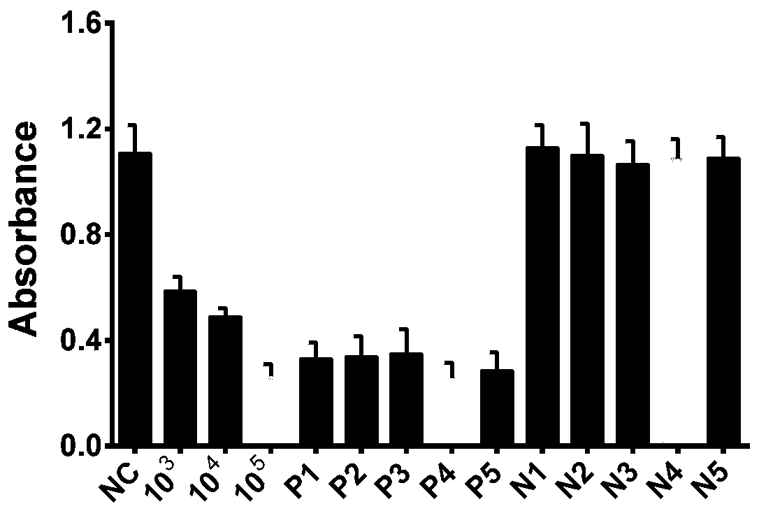 Detection method and application of HBV based on CRISPR-Cas12a and G-quadruplex hemin