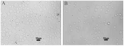 A high-throughput isolation and culture method for microorganisms