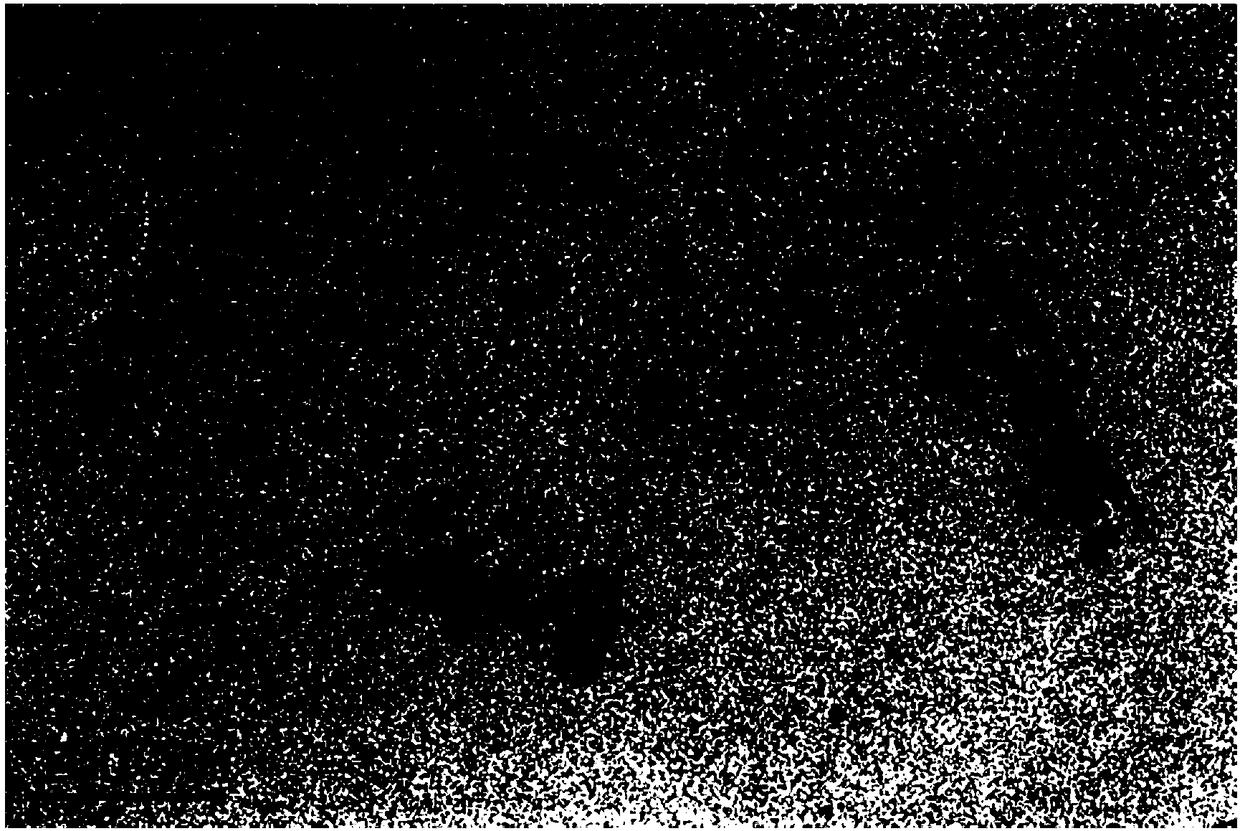 Preparation method of carbon quantum dots