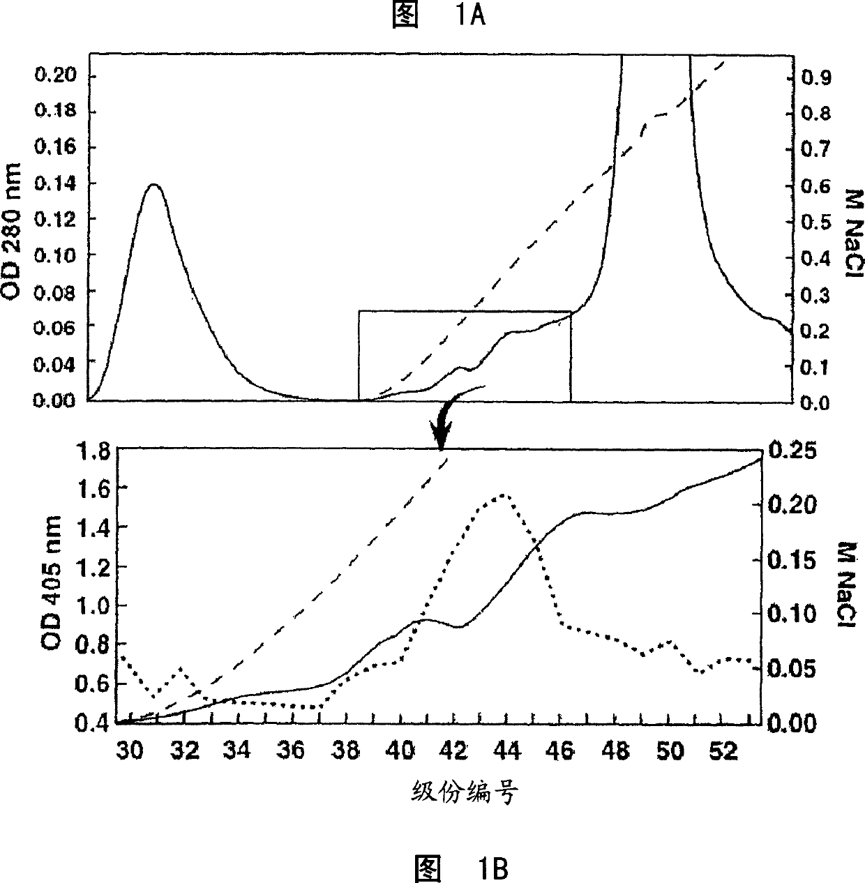 Cancer-associated epitope