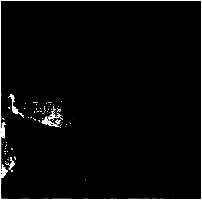 A kind of al-b4c-b neutron absorbing material and preparation method thereof