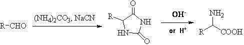 Synthesis and purification method for alpha-amino acid compound