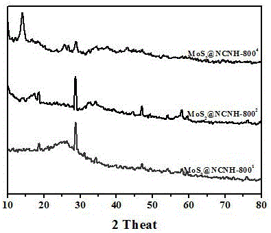 Nitrogen functional carbon material loaded with transition metal chalcogenide as well as preparation and application of nitrogen functional carbon material