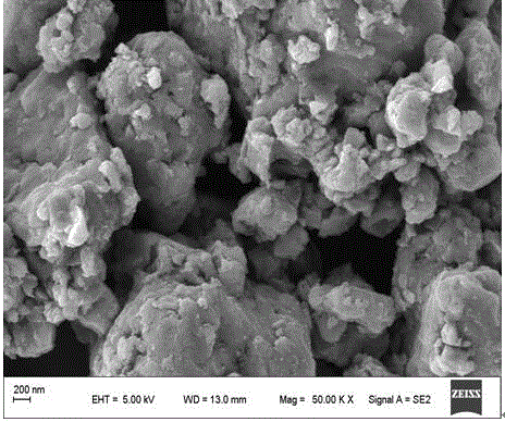 Nitrogen functional carbon material loaded with transition metal chalcogenide as well as preparation and application of nitrogen functional carbon material