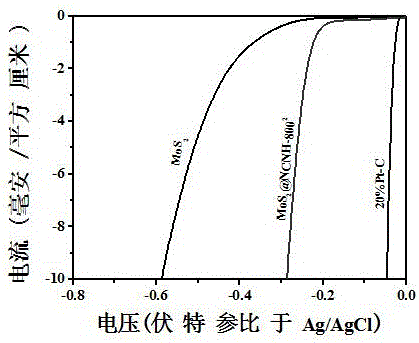 Nitrogen functional carbon material loaded with transition metal chalcogenide as well as preparation and application of nitrogen functional carbon material