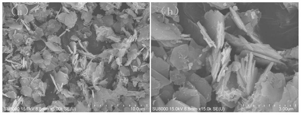 Composite negative electrode material for zinc-based secondary battery and preparation method thereof, zinc-based secondary battery