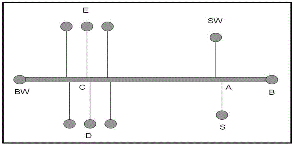 A New Large-Channel Electrophoresis Microchip