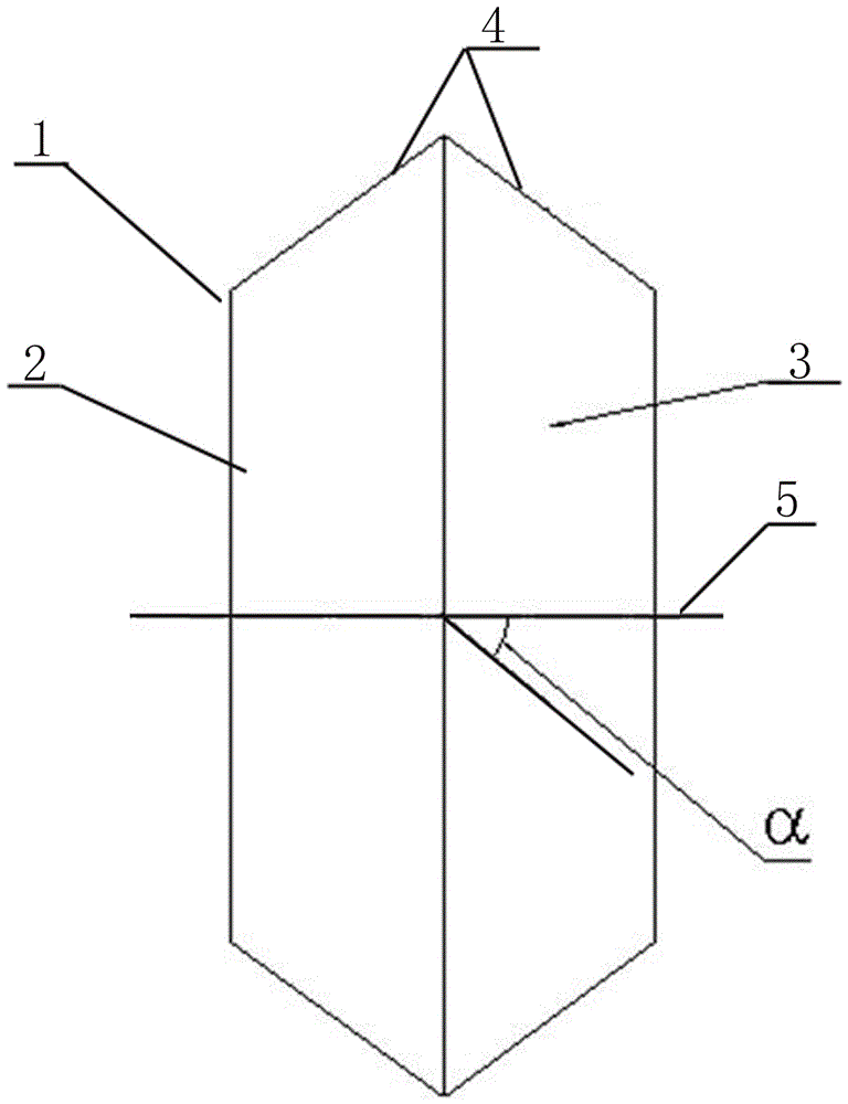 Double-circular table magnetic bearing rotor