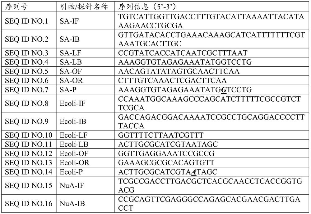 Kit for constant-temperature detection of respiratory tract infection bacterial pathogens by enzyme digestion probes