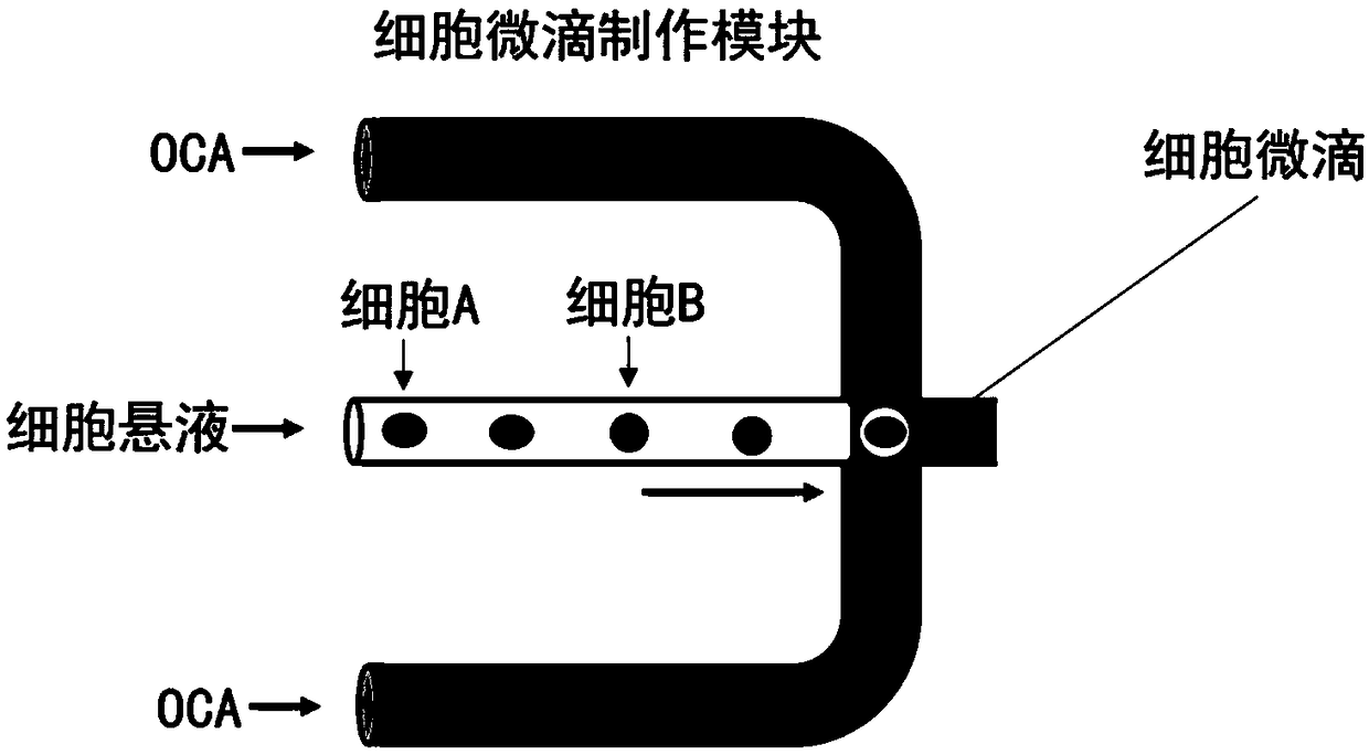 Terahertz flow cytometric sensor and its detection method for label-free detection of single or a small number of living cells