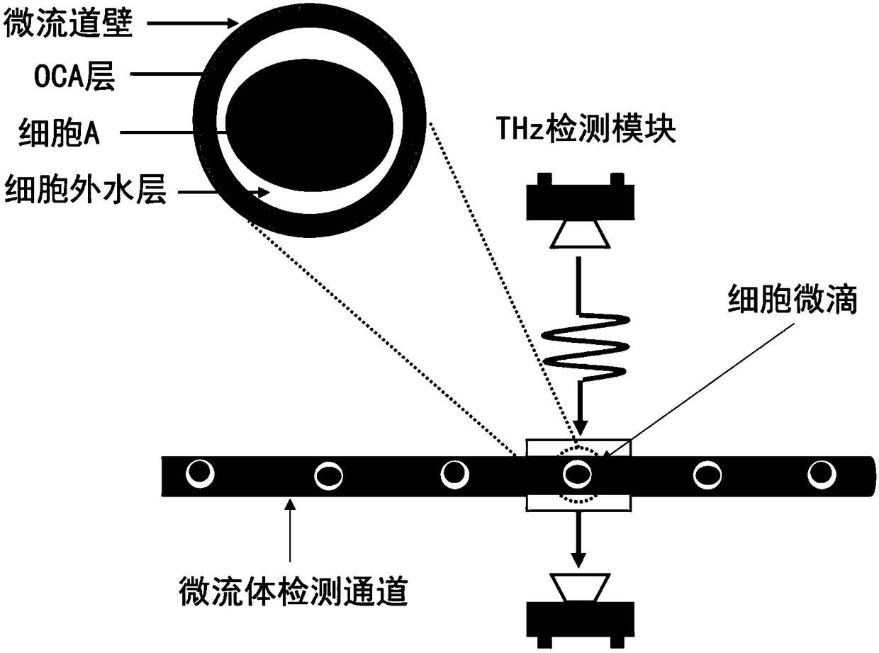 Terahertz flow cytometric sensor and its detection method for label-free detection of single or a small number of living cells