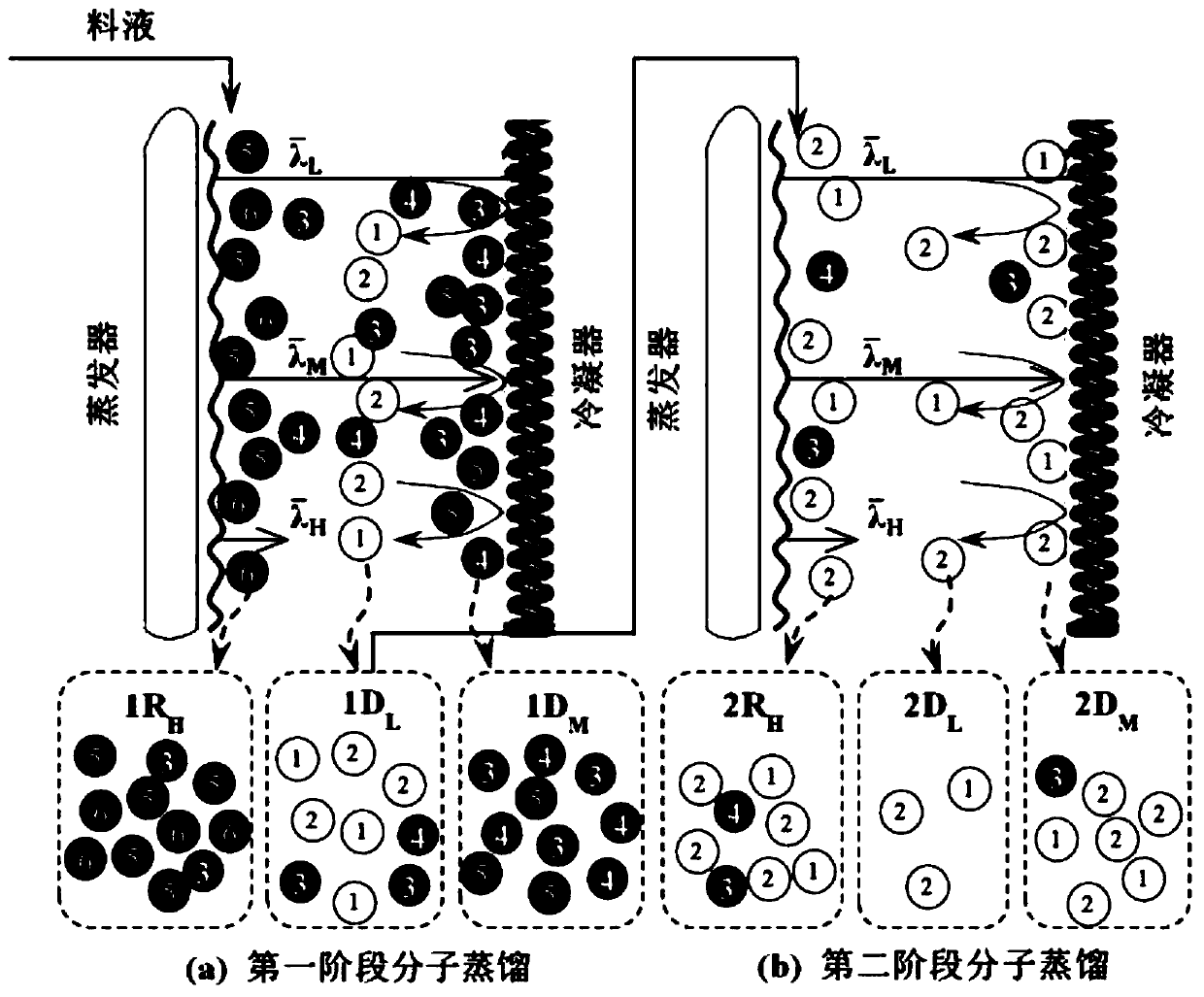 Method for enriching antibacterial components of cinnamomum camphora essential oil