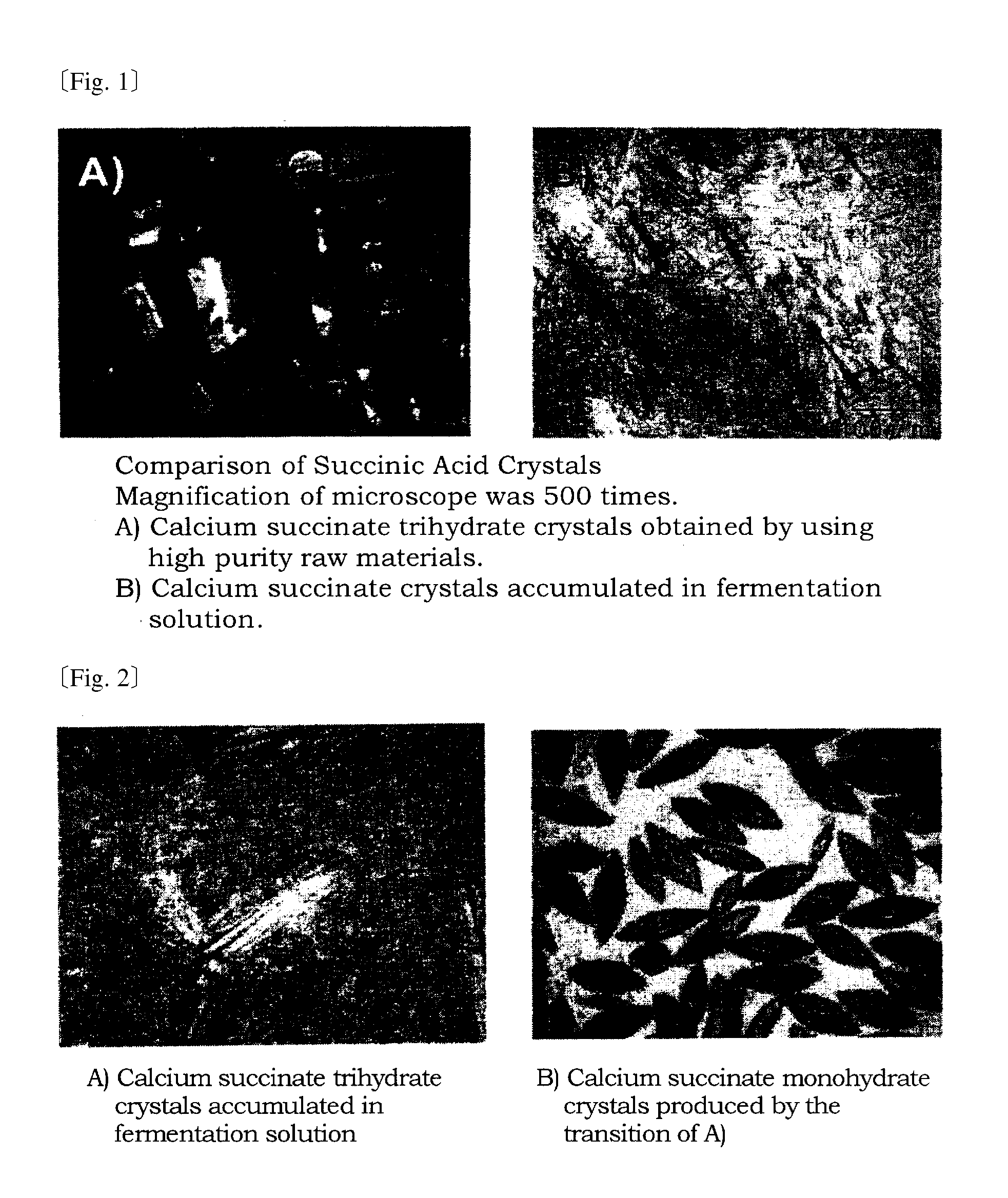 Method of manufacturing succinic acid and ammonium succinate solutions