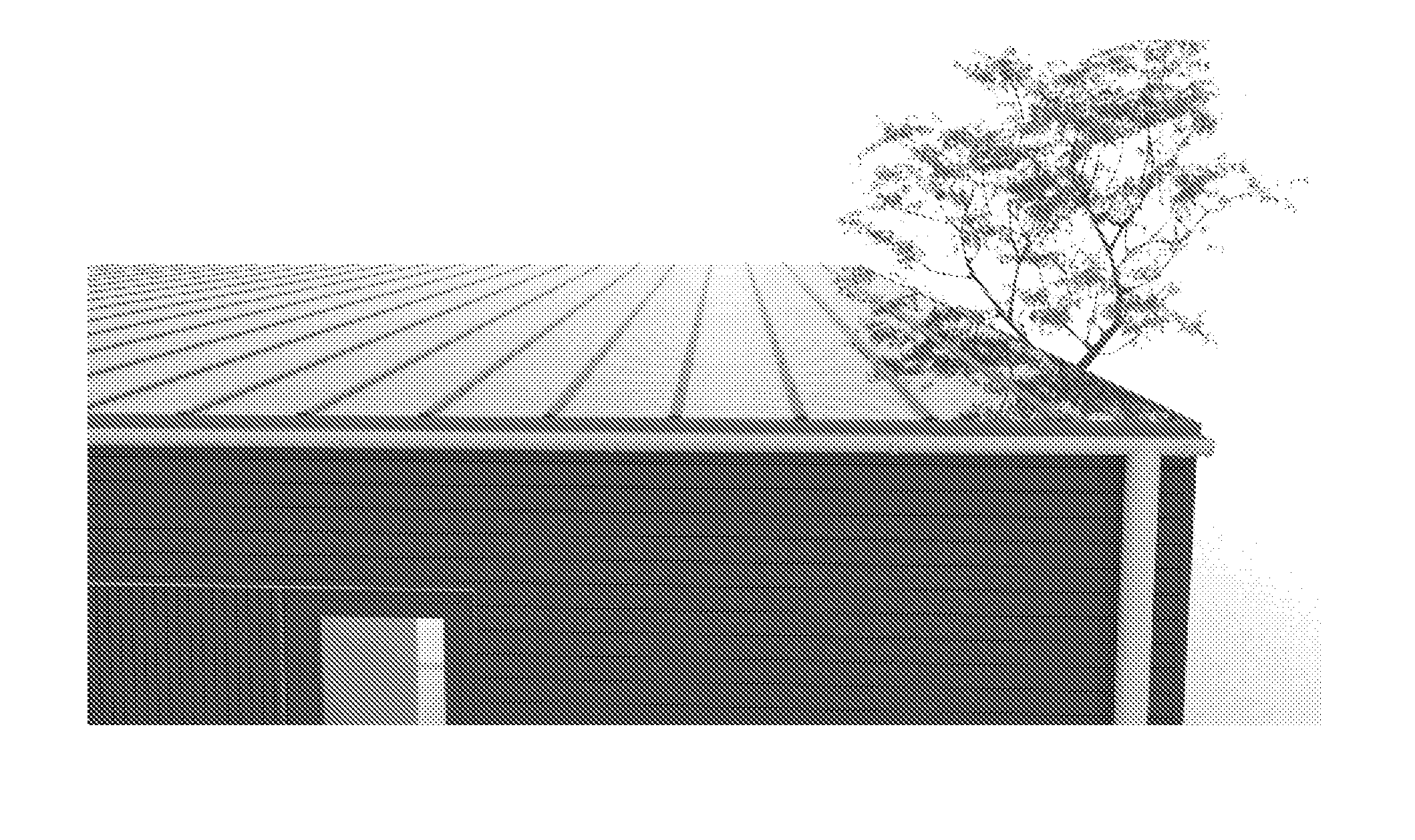 Thermal solar absorber system generating heat and electricity