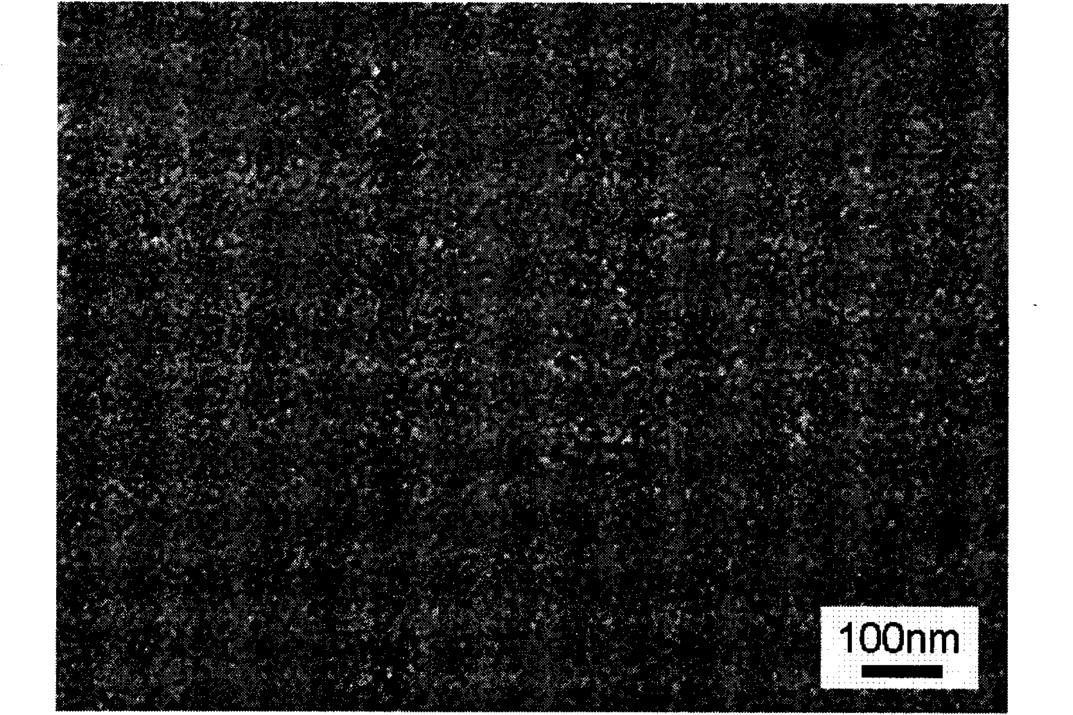 Nano porous alloy fuel battery catalyst and preparation method thereof