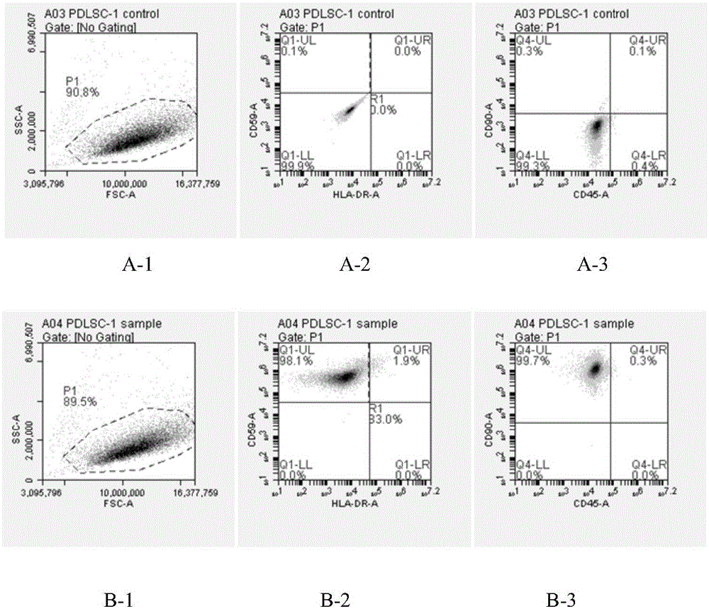 Primary separation and culture method for periodontal ligament stem cells