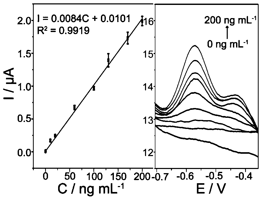 Carcino-embryonic antigen electrochemical sensor constructed from magnetic material and exonuclease III