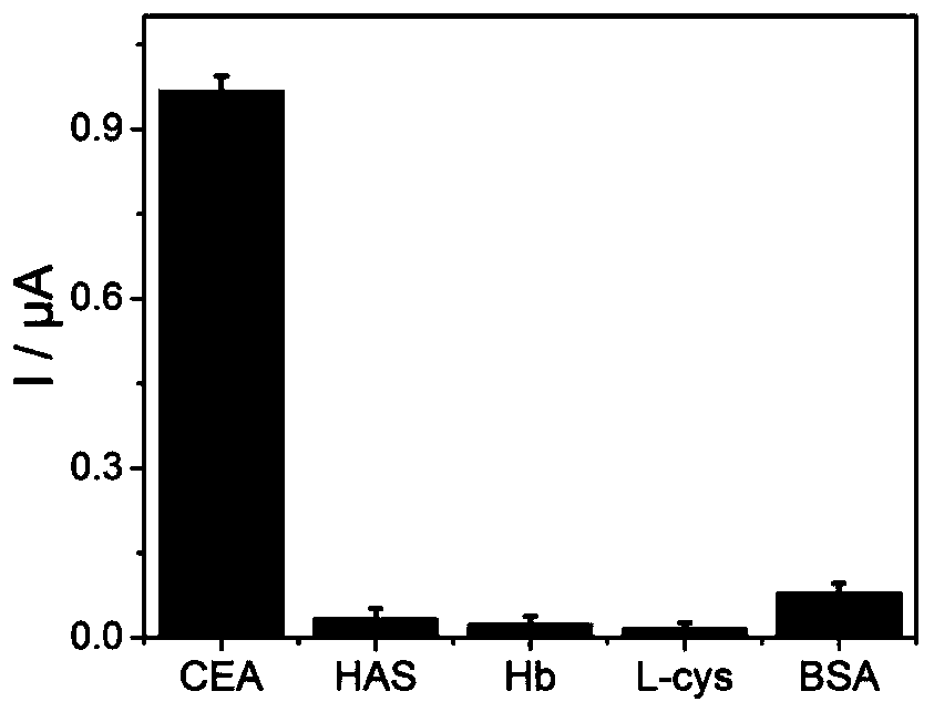 Carcino-embryonic antigen electrochemical sensor constructed from magnetic material and exonuclease III