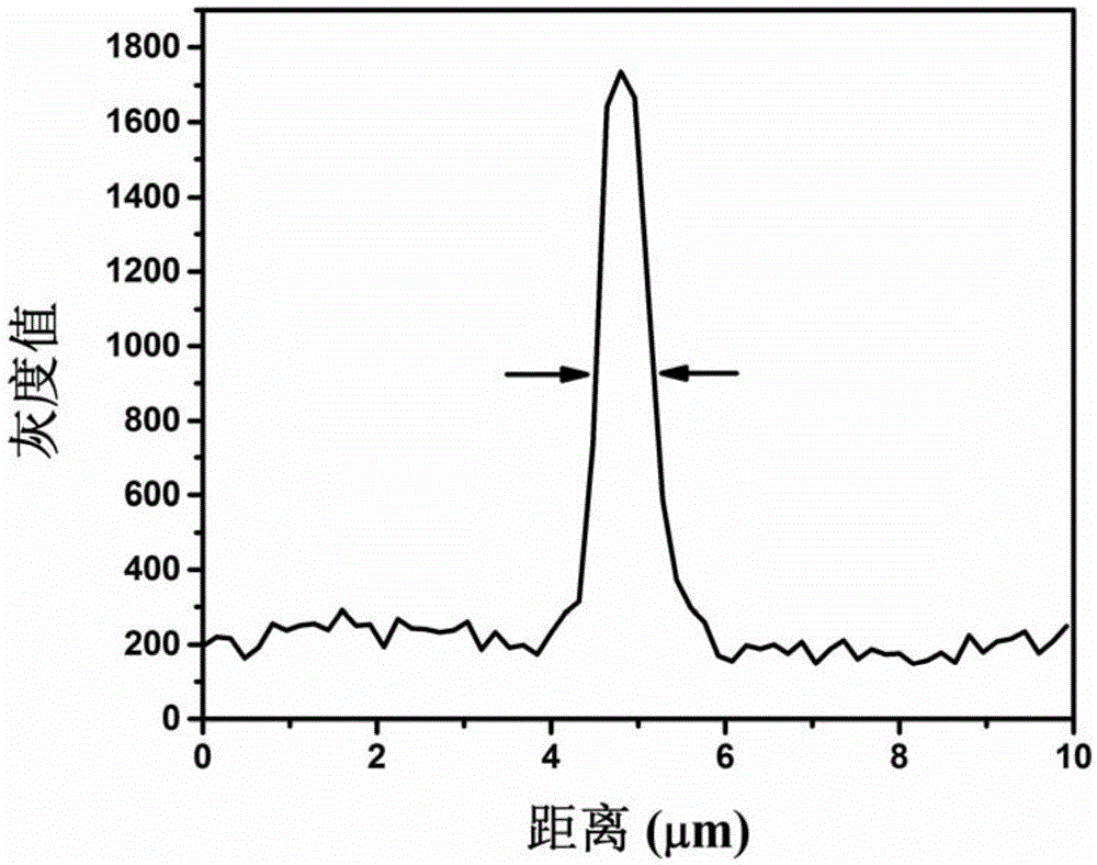 Optical microscope based on surface plasma resonance