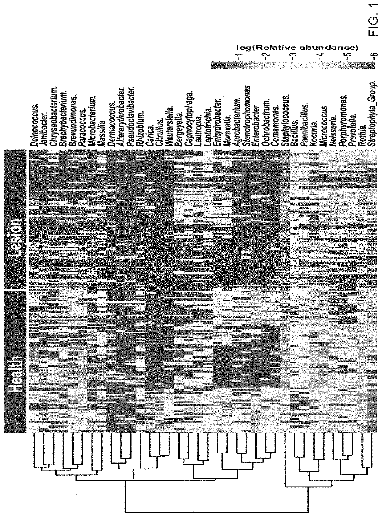 Method of Screening Skin Products