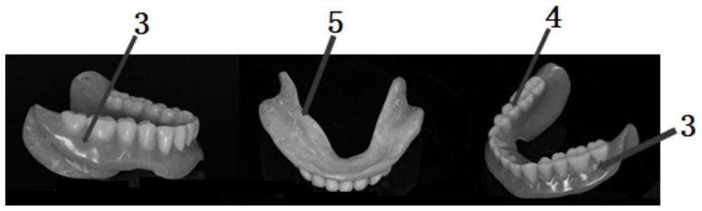 Method for making complete dentures with individualized polished surfaces using old dentures