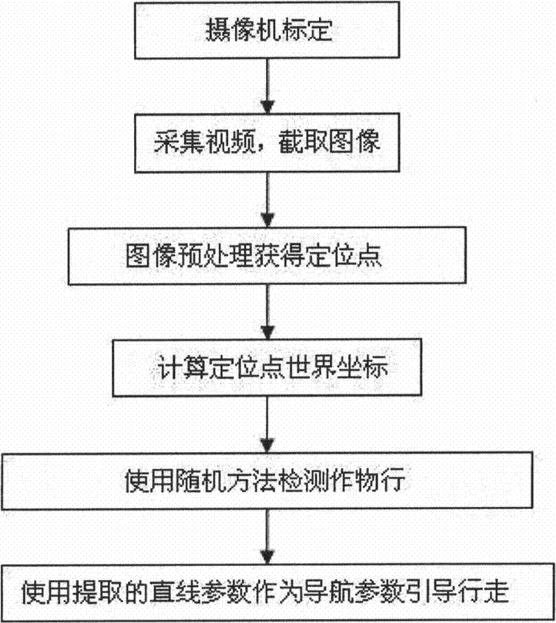 Visual navigation based multi-crop row detection method