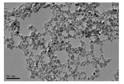 Manufacturing method of targeted magnetic nanometer probe for early diagnosis of atherosclerosis vulnerable plaques