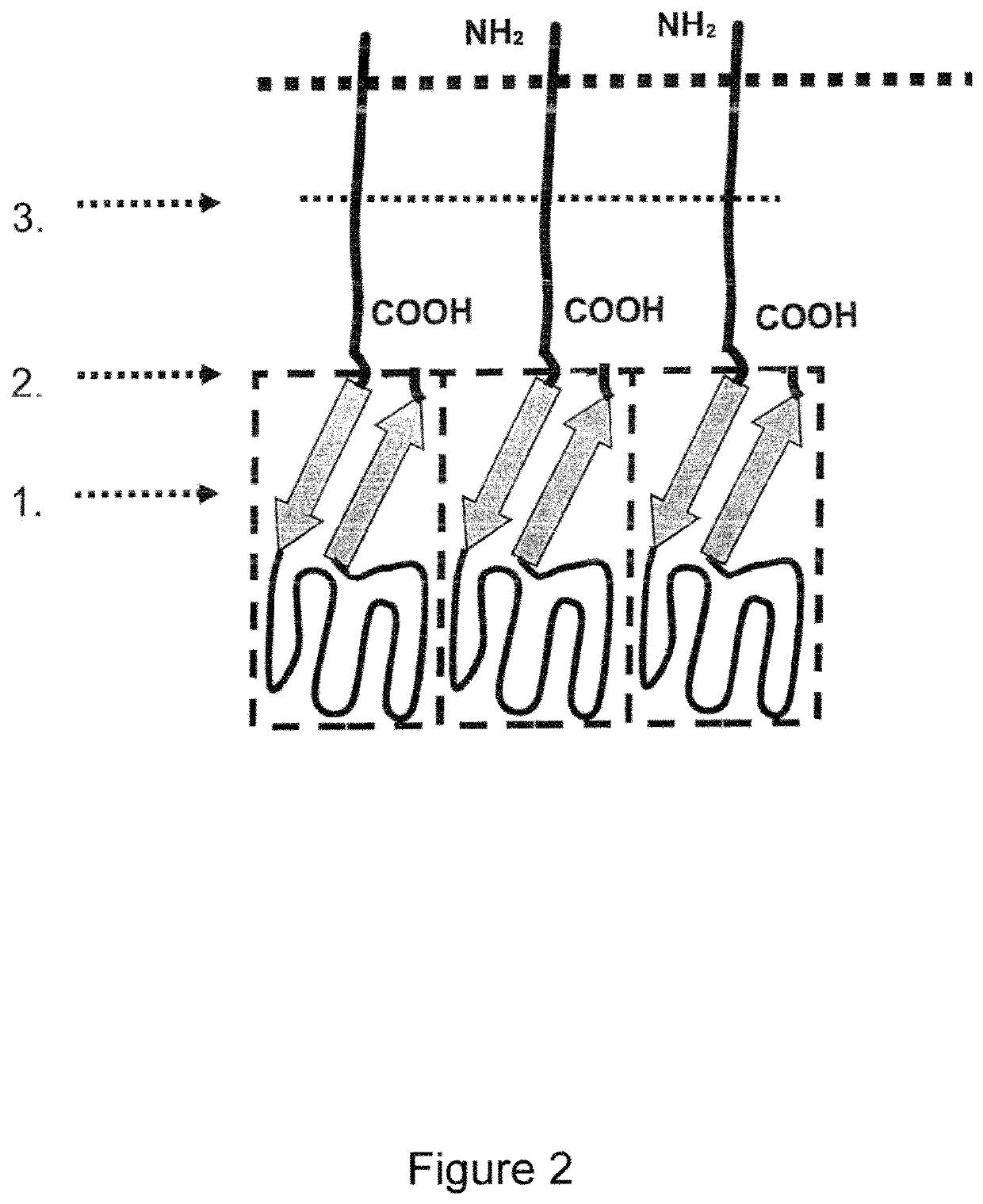 Single-chain CD137-receptor agonist proteins