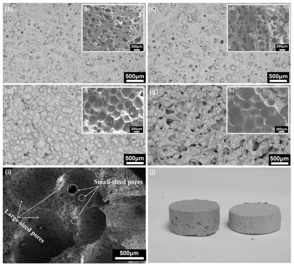 A method for preparing multi-level porous aluminum titanate mullite ceramics by microbial foaming