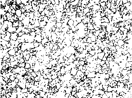 Hard alloy with iron-nickel as binder metal and preparation method thereof