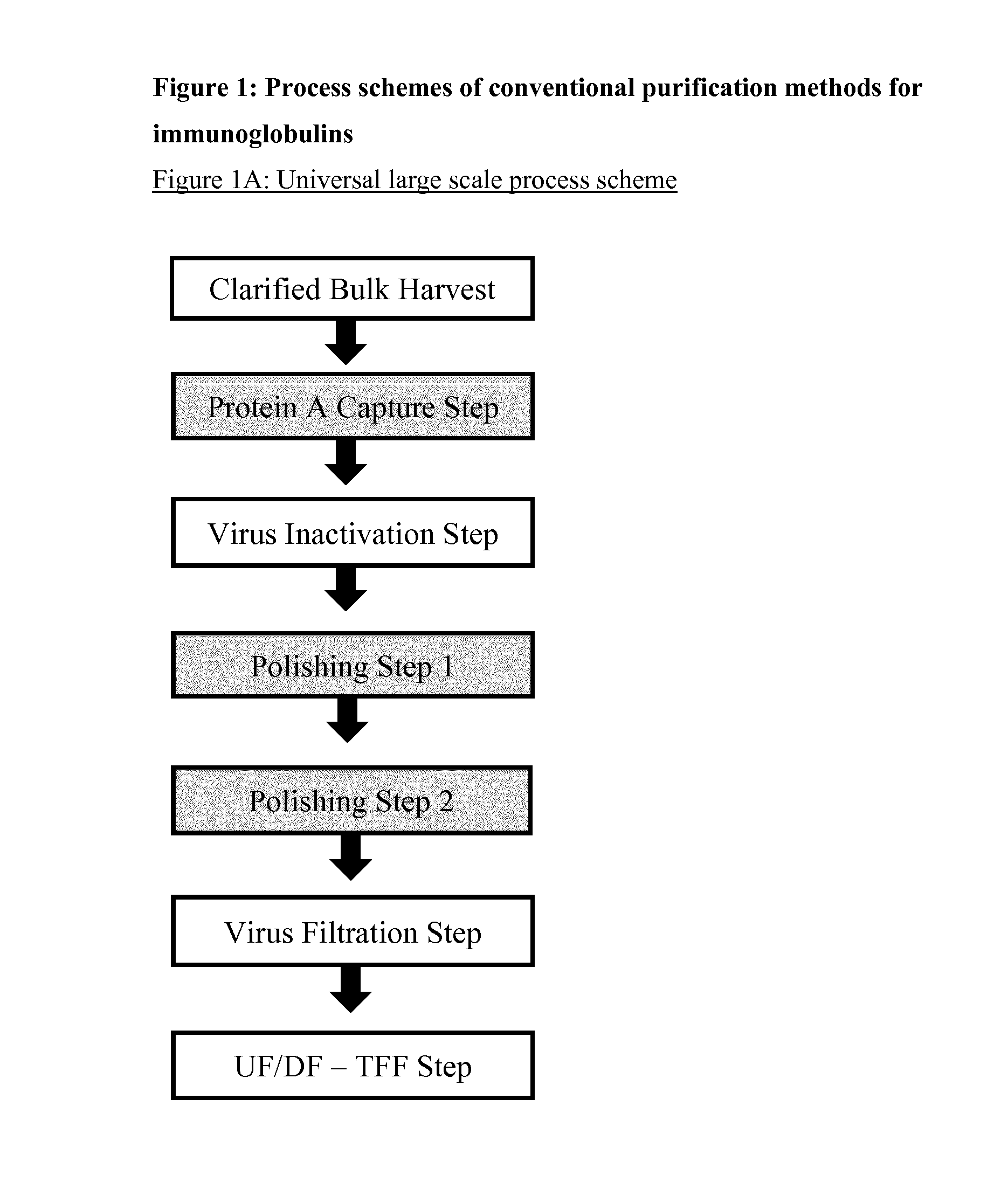 Immunoglobulin purification using pre-cleaning steps